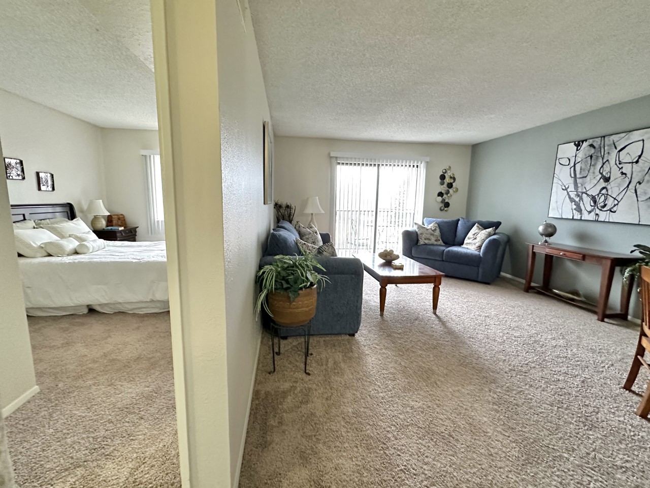 Bedroom and Living Room